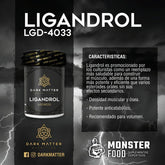 LIGANDROL LGD-4033 60 TABLETAS
