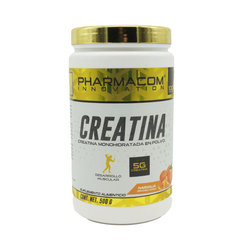 Creatina Monohidratada 100 Serv