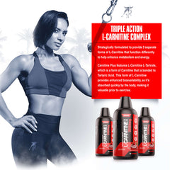 l carnitina cafe L-CARNITINA COMPLEX | CARNIPURE | Café Verde + Vitaminas B + Cromo | PRE WORKOUT + PARA la Figura | ALTA concentración | Energía | Sin Aditivos & Vegano | 120 Cápsulas l carnitina cafe L-CARNITINA COMPLEX | CARNIPURE | Café Verde + Vitaminas B + Cromo | PRE WORKOUT + PARA la Figura | ALTA concentración | Energía | Sin Aditivos & Vegano | 120 Cápsulas